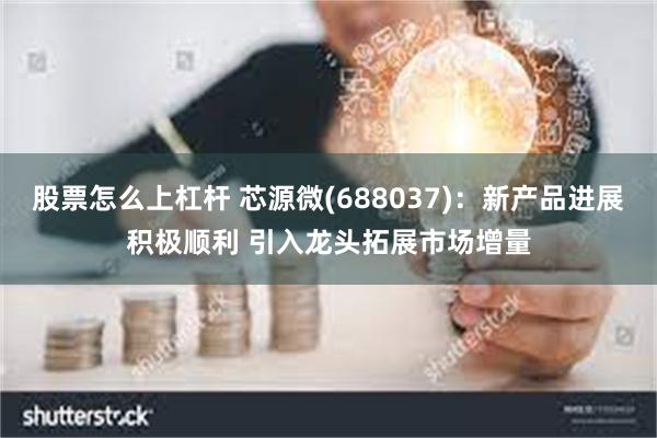 股票怎么上杠杆 芯源微(688037)：新产品进展积极顺利 引入龙头拓展市场增量