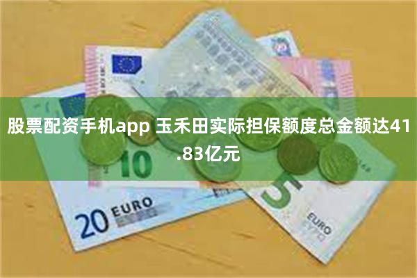 股票配资手机app 玉禾田实际担保额度总金额达41.83亿元